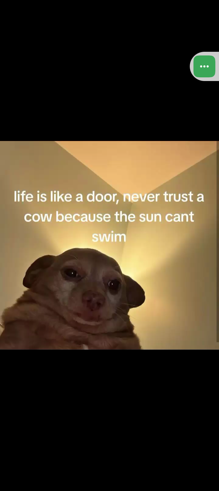 MEMEHUB 
