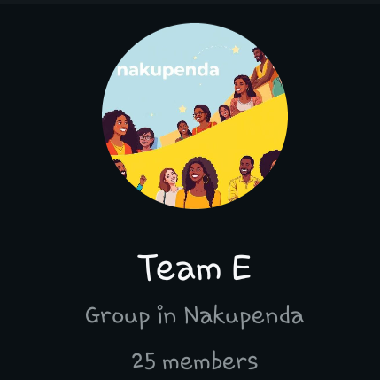 Team E